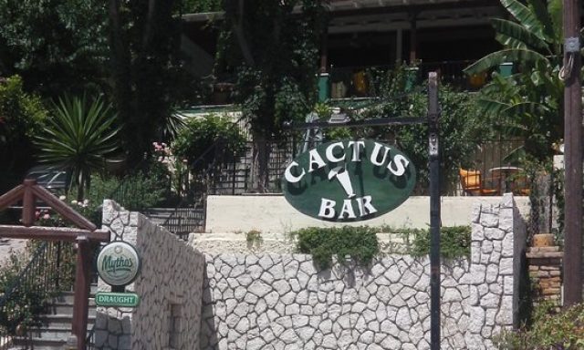 Cactus Bar
