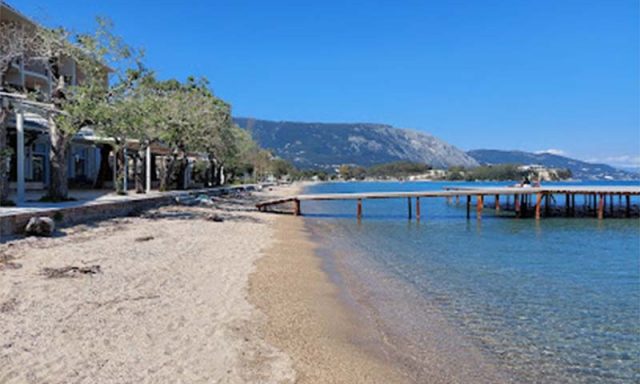 Forest Beach