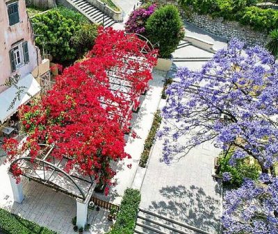 Bougainvillea restaurant