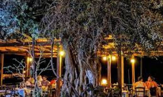 Three Brothers fish tavern