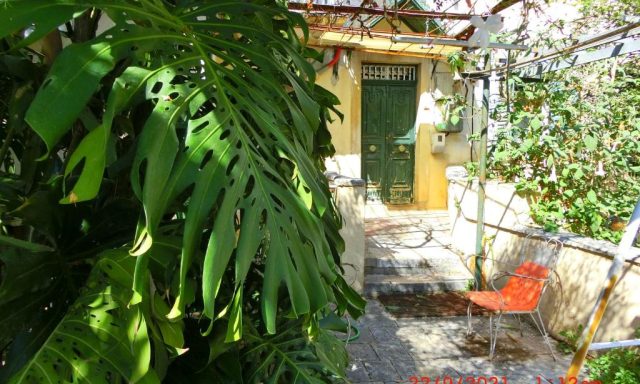 Ami’s House