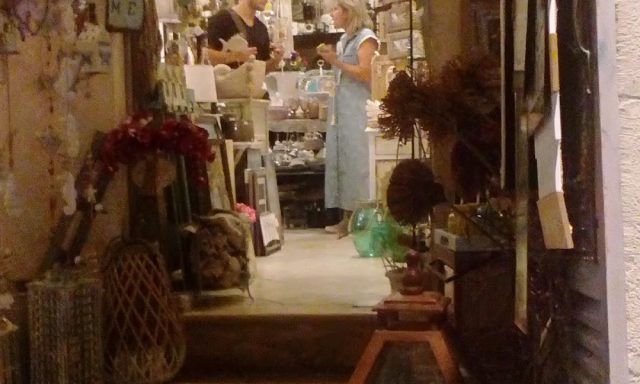 DOMUS