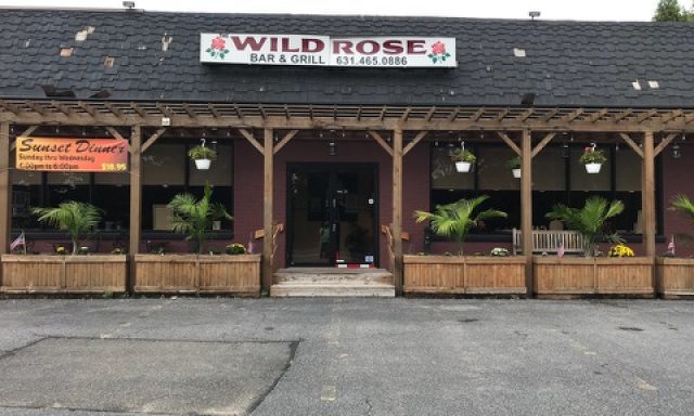 Wild Rose