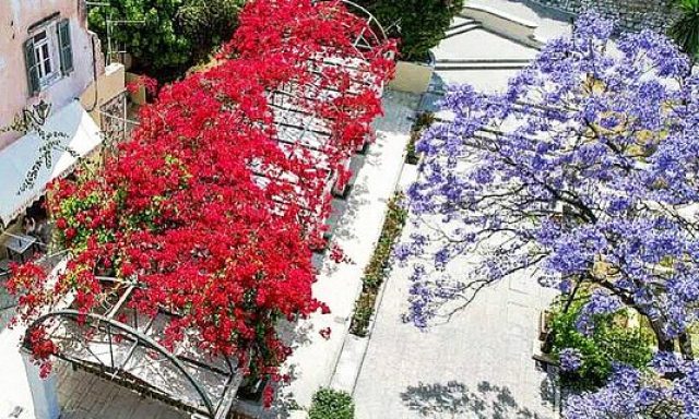 Bougainvillea restaurant
